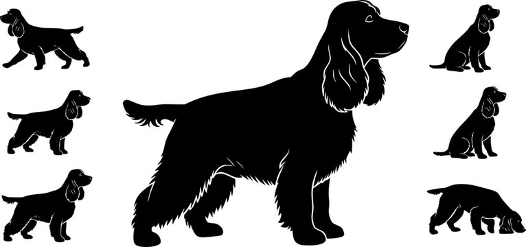 Cocker Spaniel dog silhouettes, Cocker spaniel silhouette, Cocker spaniel animal svg, Cocker spaniel vector.