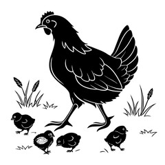 rooster and hen