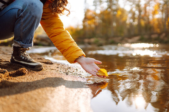 Close-up of hiker in bright jacket places yellow fallen leaf on clear water. Young woman enjoys autumn scenery at sunset, reaching for a golden leaf floating in water. Autumn concept.