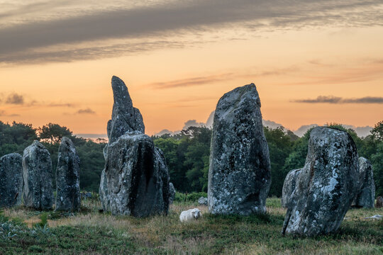 Carnac standing stones at sunrise in Brittany France UNESCO site