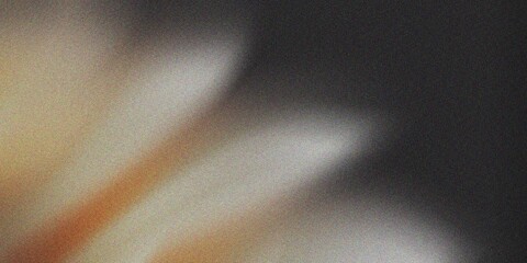 Minimal glowing blur with warm orange and cream tones on black backdrop, abstract gradient wallpaper with textured noise effect