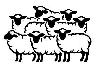 Sheep on a white background. Vector illustration of a flock of sheep.