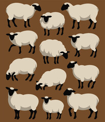 Sheep on a brown background, vector illustration, eps 10