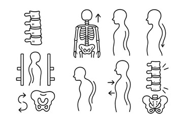 Spinal Alignment Doodle. Hand-drawn doodle illustration spinal alignment vertebrae, posture icon, spinal curve, lordosis, kyphosis