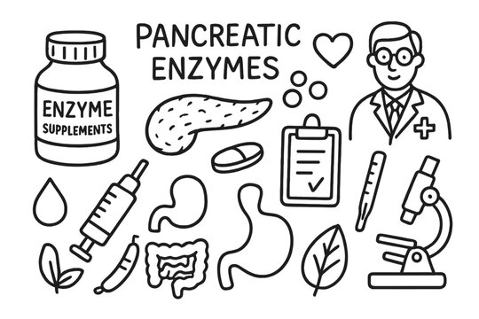 Pancreatic Enzyme Doodle. Hand-drawn doodle illustration pancreatic enzymes enzyme supplements enzyme bottle, pill, pancreas,