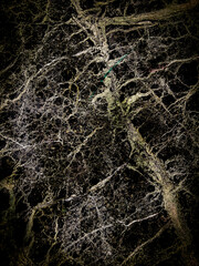 Beautiful Abstract Grunge Decorative Dark Stucco Wall Background.