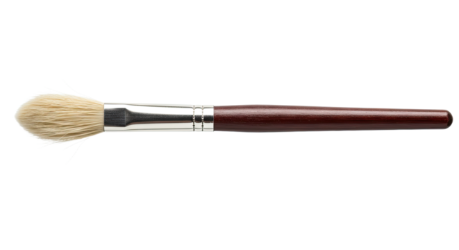Rounded paintbrush with brown handle and white bristles.