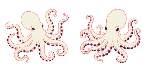 Two hand drawn octopuses with tentacles. Outline art marine animal illustration for ocean life and seafood.