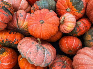 A photograph of numerous bright orange pumpkins shot from above. The pumpkins fill the entire frame, creating a decorative pattern with natural texture and vibrant autumn colors.
