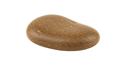 Single brown oval smooth stone object.