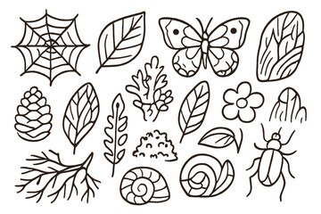 Intricate Nature Doodles. Hand-drawn doodle illustration intricate nature spider web, leaf veins, butterfly wings, coral, pine