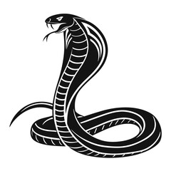 black and white snake