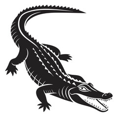 black and white dragon