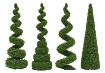 Set of Four Isolated Spiral and Cone Green Topiary Trees for Landscaping Design