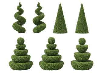 Ornamental topiary green plant arrangements isolated PNG with Transparent Background