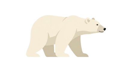 Fototapeta premium Polar Bear Walking on White Background.