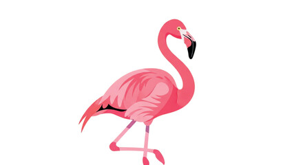 Pink Flamingo Standing on One Leg.