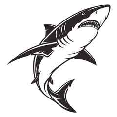 shark vector illustration
