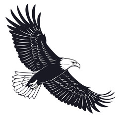eagle vector illustration