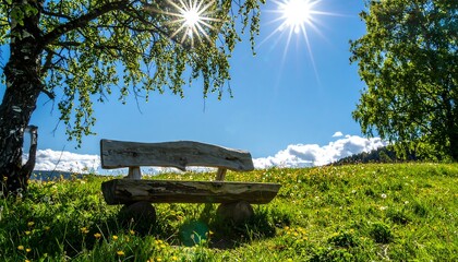 Scenic sunny park with a wooden bench and flowers