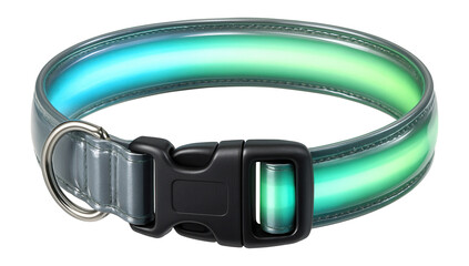Reflective dog collar with LED light strip and buckle