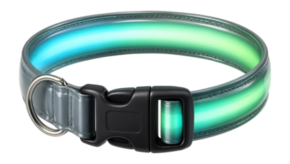 Reflective dog collar with LED light strip and buckle