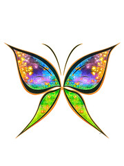 butterfly vector illustration