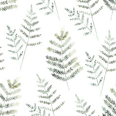 Watercolor seamless pattern. Vintage print with herbal   branches. Hand drawn illustration on white background.