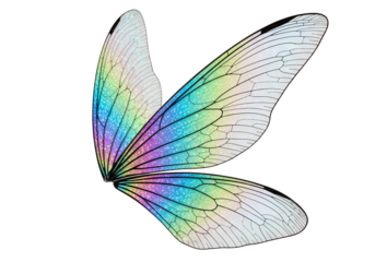 A pair of iridescent fairy wings, detailed with shimmering colors and delicate veining, against a stark black backdrop.
