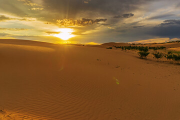 Landscape in desert at sunset