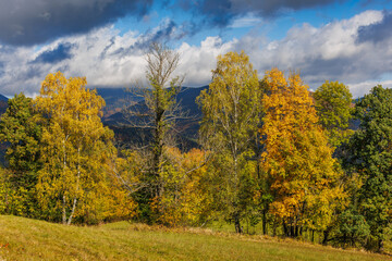 Fototapeta premium Autumn mountain landscape with forest trees and colorful foliage in seasonal fall nature under partly cloudy sky