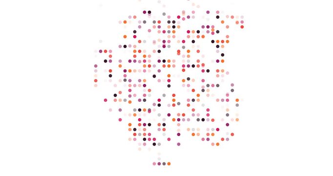 Digital Spheres Emerge Forming Hypnotic Suriname Map Animation