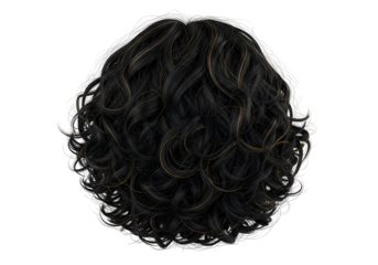 A detailed digital rendering of voluminous, dark curls with highlighted strands, presented against a black background.