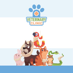 Vet clinic. placard template with group off ill animals