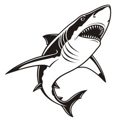 vector illustration of a shark