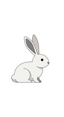 Obraz premium Cute White Rabbit Sitting Side View.