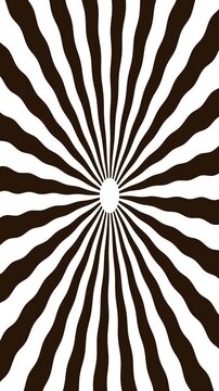zebra skin texture retro style, color pattern, geometric lines, vibrant design, vintage circle, optical shape, dynamic motion, psychedelic look, classic visual