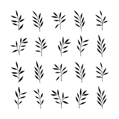 Silhouettes of Various Delicate Leaf Branches