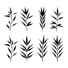 Obraz premium Silhouettes of Various Delicate Leaf Branches