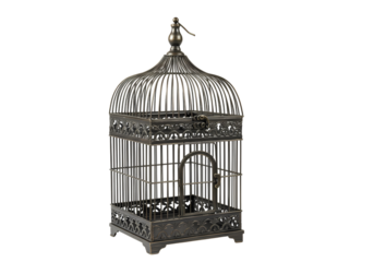 Ornate Antique Birdcage: Elegant Home Decor