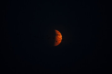 Blood Moon Eclipse 09.07.2025
