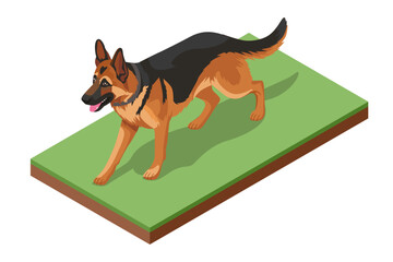 Isometric illustration of a German shepherd dog walking on grass. Concept of security, border patrol, and canine training.