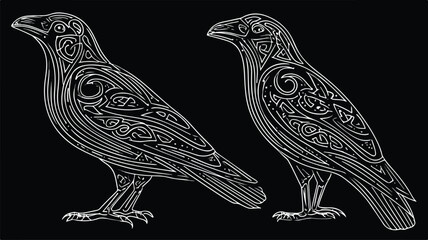 Two Black Crows in Old Norse Celtic Style Illustration