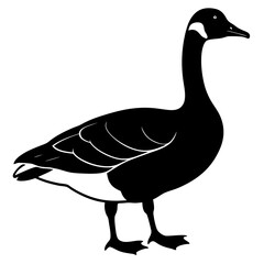 Canada Goose vector silhouette on white background