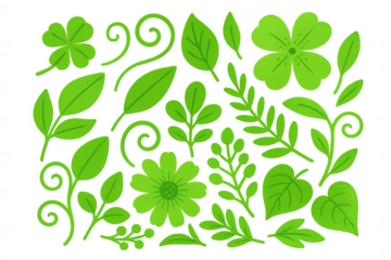 Green botanical elements composing lush natural pattern against transparent backdrop
