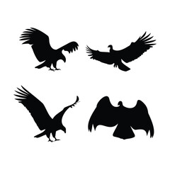 Silhouettes of Eagles and Vultures in Flight and Landing Poses