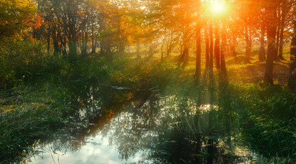 Autumn forest landscape, sunset at the autumn forest, sun beams breaking through the forest trees and river on the foreground