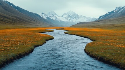 Fototapeta premium Mountain stream winding through a meadow of wildflowers, with snow-capped peaks in the distance