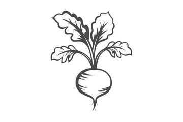 Beetroot Silhouette with Leaves Vector, Organic Vegetable Icon on White Background