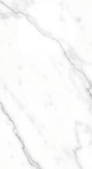 Obraz premium Elegant white marble texture with subtle gray veining for luxurious backgrounds